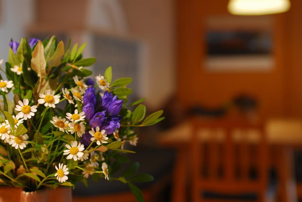 Alpenlodge Hotel 3*